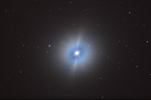 Vega One of my favourite stars.It may be 25.05 light years away, but it shines so bright I can still