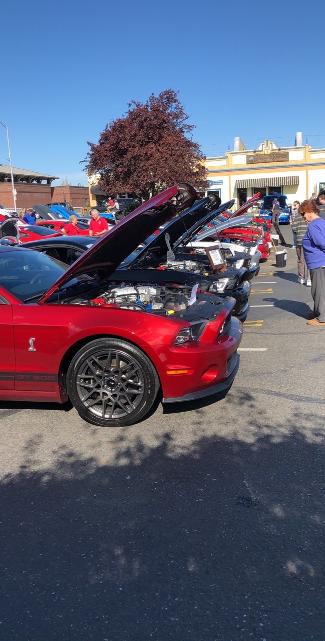 Preview of following posts, so many gorgeous cars today at the car show . These are