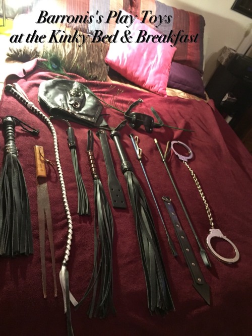 These are the toys I played with this past weekend, among others, at the Kinky Bed and Breakfast in 