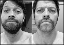 mishapublic:   Team free beard   @foxybaggins