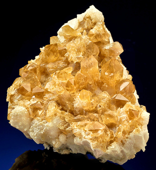 Citrine on Danburite - Aurora Mine, Charcas, Mun. de Charcas, San Luis Potosí, Mexico