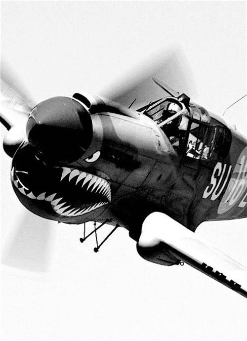 planesawesome:   P-40 Ready To Go  