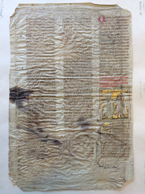 upennmanuscripts:Say hello to Misc Mss (Large) Box 2 Folder 25, an un-digitized manuscript fragment 