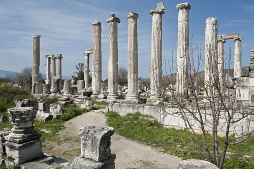 classicalmonuments:Temple of Aphrodite Aphrodisias, Asia minor (Turkey)1st century CEThe sanctuary o