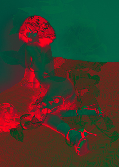 elle-aussi: Devil’s Ivy - 2018 E+N