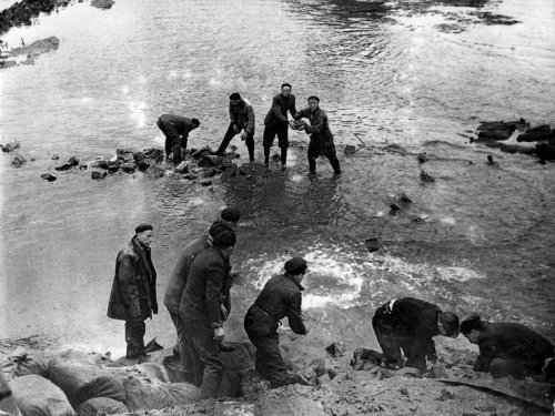 Photographs of the 1953 North Sea floodall taken in the Netherlands, february 1953
• Dikebreach near Papendrecht (X)
• People feeing their flooded villages (X)
• Soldiers rowing survivors to land, Zeeland (X)
• Farmer leading a cow through the...