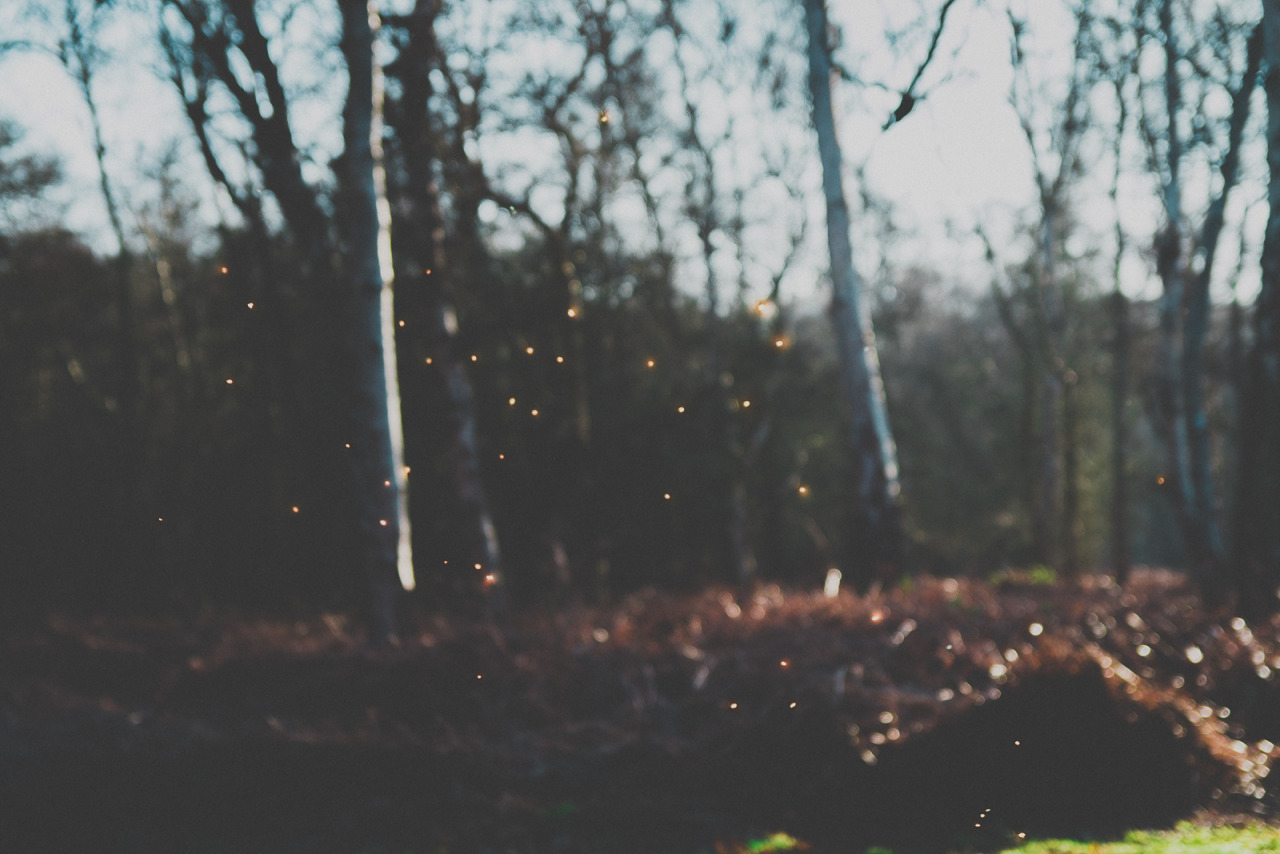 hiadammarshall:  Adam Marshall Photography Tumblr | Facebook |  Flickr  