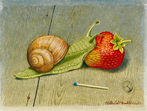 art-nimals:Niklaus Stoecklin (1896 - 1982), Snail, Ignition Wood and Strawberry, 1961, Sotheby’s