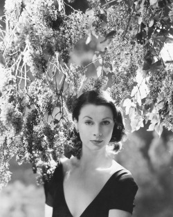 wehadfacesthen:  Vivien Leigh in a photo by Cecil Beaton, 1946 