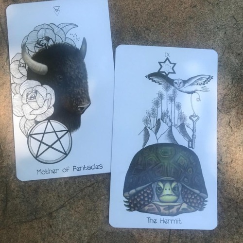 Tarot is for everything. Today I am using it to help me stay on track with my eating plan. The first