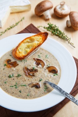 gastrogirl:  creamy roasted mushroom and brie soup. 