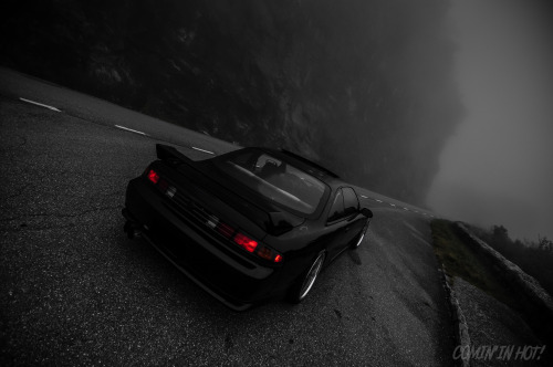 comininhotblog:  The fog…