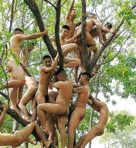 jacksnewdick:  Their Eyes Were Watching Cock🍌4187.