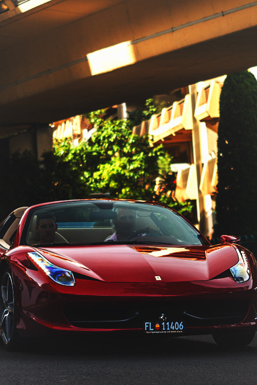 Premium Elegance.