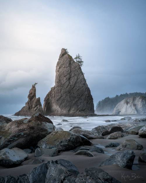 oneshotolive:  The Coast of Washington State [OC] (1600x2000) 📷: Kads_Baker 