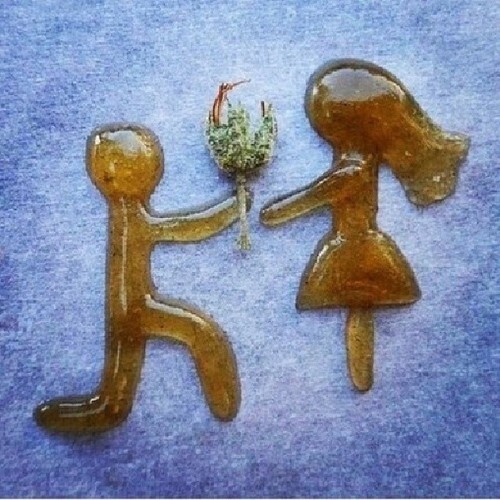 weedfreedomfinally: Will You Marry Me?