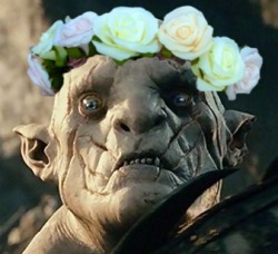 a-hobbit-at-heart:  Because everyone looks better in a flower crown 