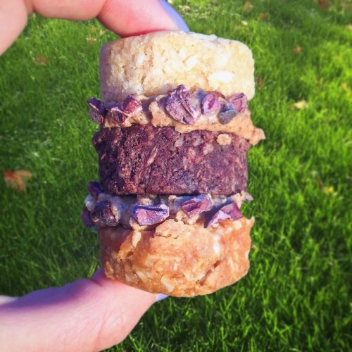 Now THAT’s a sandwich ➡️@emmysorganics coconut cookies (vanilla, cacao & pb) with @sunbutter org