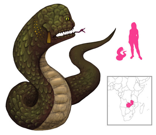 IlombaMan-snakes feed on lifeConsume souls, and do all sortsOf evil misdeeds.https://abookofcreature