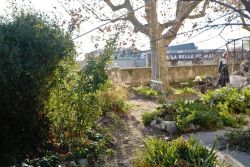 Jardiner en janvier à la Belle de Mai. #jardinage #frichelabelledemai #enspversaillesmarseille #paysage #sauvonslesfiguiers (à Friche la Belle de Mai)https://www.instagram.com/p/CZAeXO_Mdzl/?utm_medium=tumblr