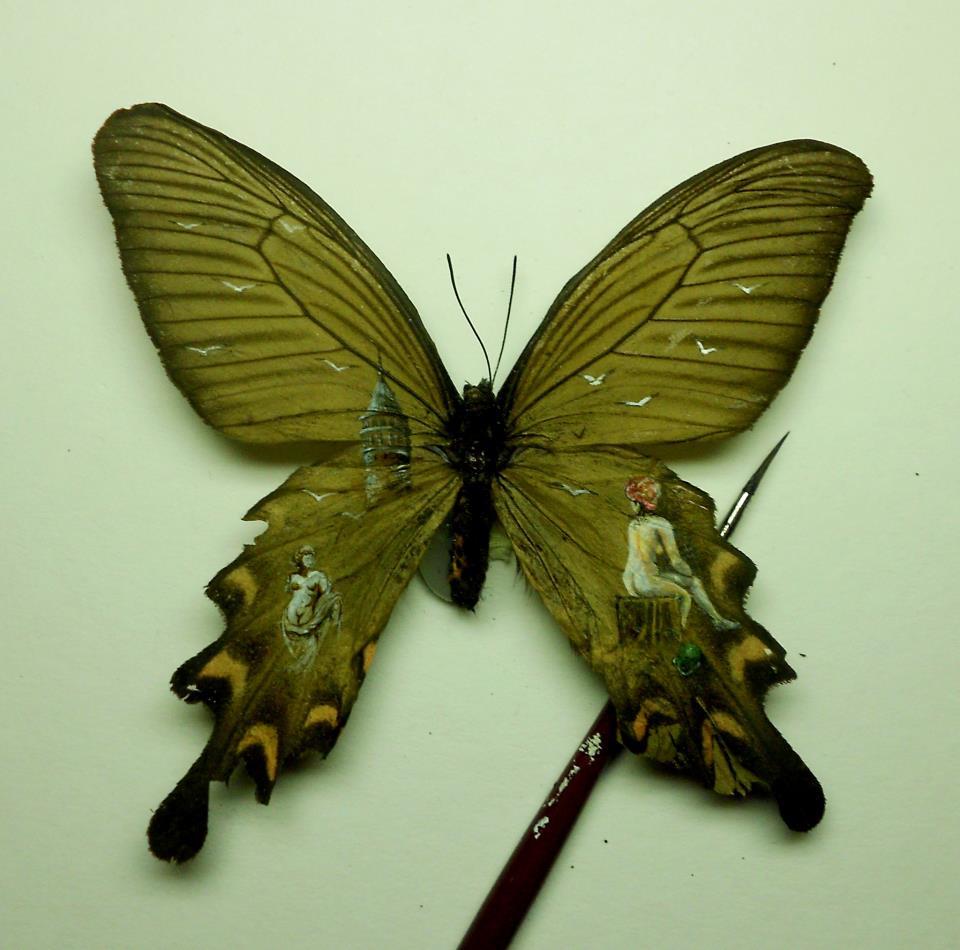 fer1972:  Intrincated (and Unbelievable) Paintings on Butterflies by Hasan Kale NOW,
