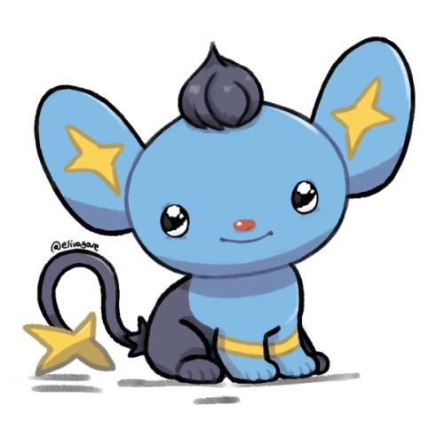 baby beta shinx 