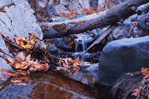 leahberman:  autumn blues angeles national forest, california instagram 