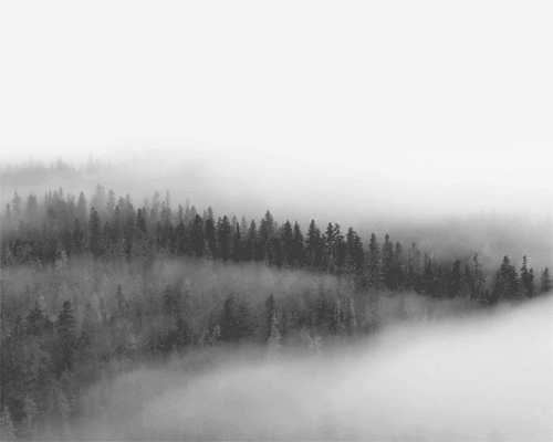 t-h-e-escapist:  xx