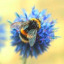 fourloudbumblebees