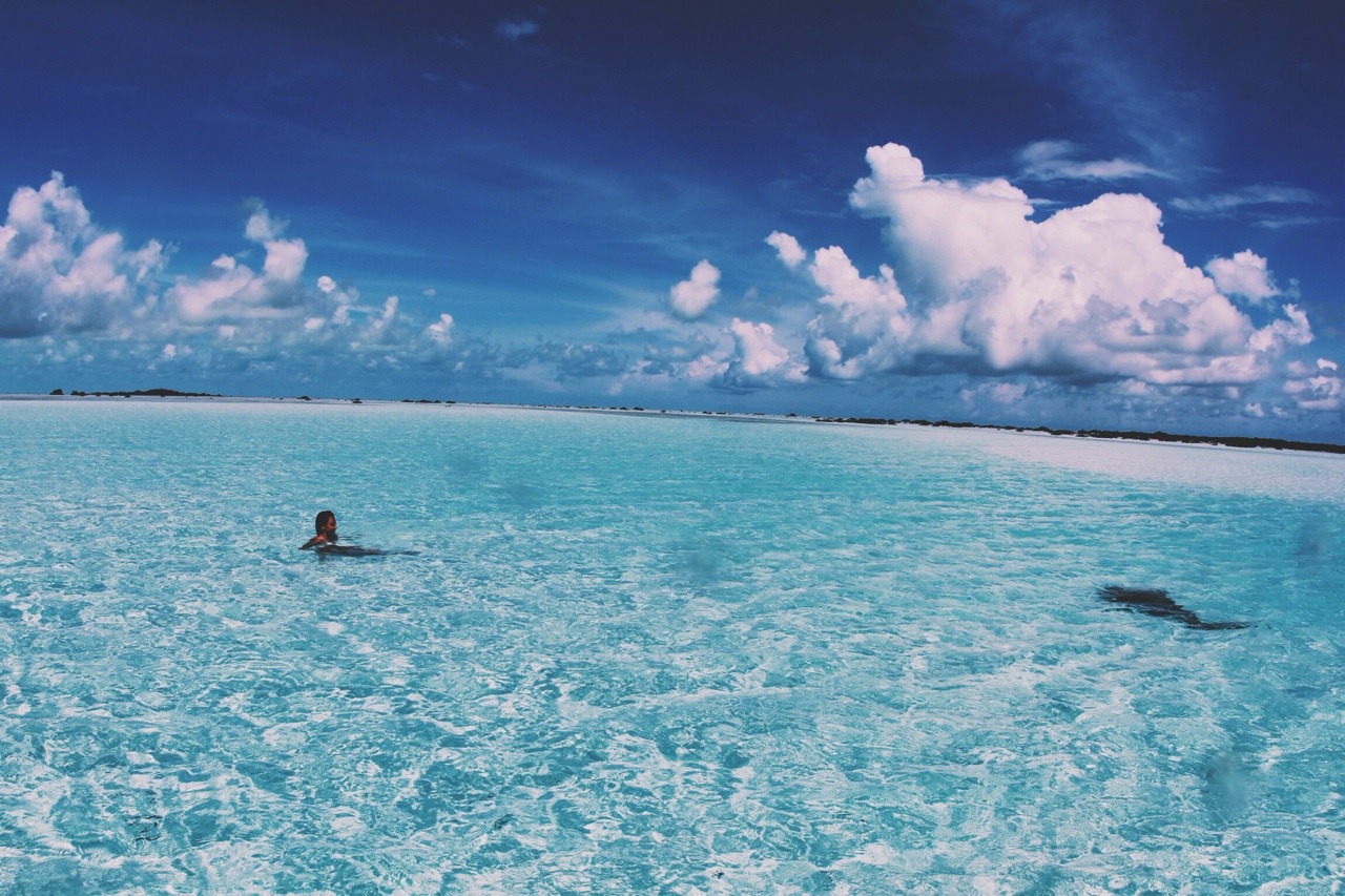 f-i-j-i:  ocean blog
