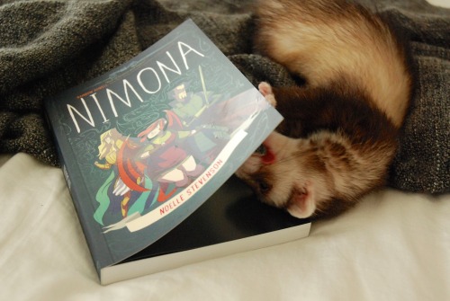 the-book-ferret:gingerhaze I feel like Nimona would have made a great little mischievous ferret!