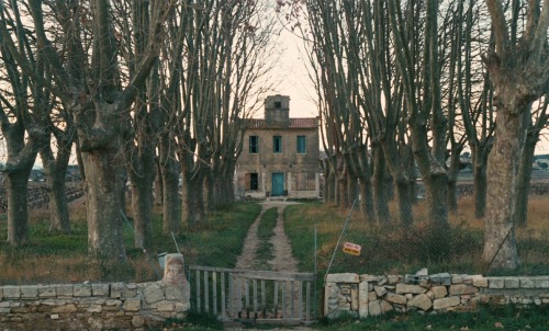 ozu-teapot: Sans toit ni loi (AKA Vagabond) | Agnès Varda | 1985 