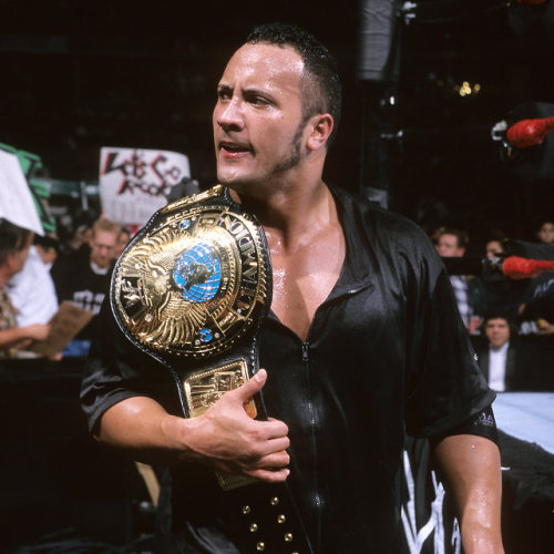 fishbulbsuplex: WWF World Champion The Rock