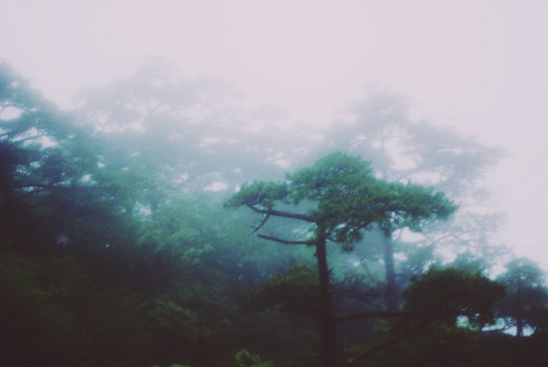 sicsen:  Glow Blog 