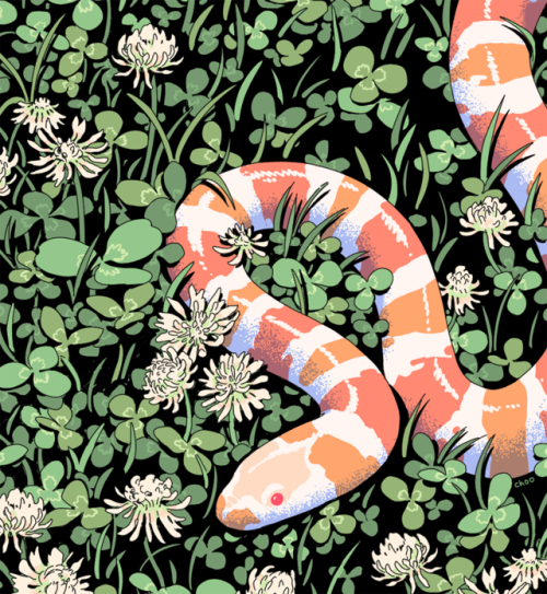 choodraws:milk snake | crop for february (available in full on patreon)