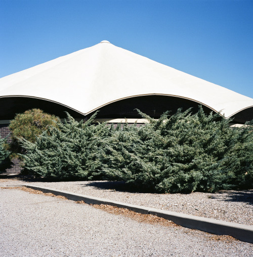 Albuquerque, NM© Sinziana Velicescu