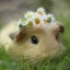 all-cute-and-shitt