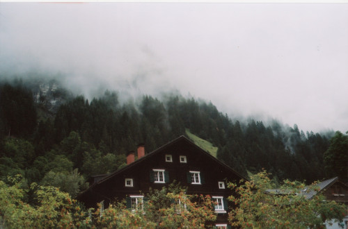 foxmouth:  Austria, 2014 | by Ingeborg Klarenberg