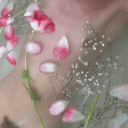 brookelynne:  tulips &amp; baby’s breath  { full size gifs on patreon } 