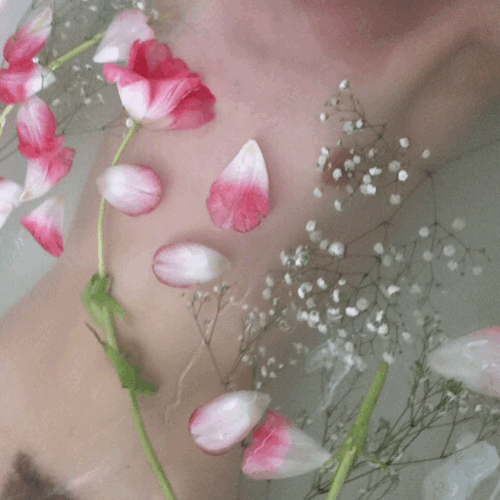 brookelynne:  tulips & baby’s breath more here