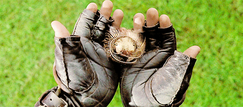 magicfolk:  Harry Potter has caught the Golden Snitch! Gryffindor wins! 