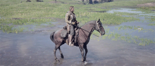 breathstill:  red dead redemption 2 horse breeds: andalusians are powerful, compact war horses. they
