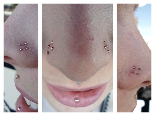 bloodandcrust:  farrahfuckingflawless:  htcaz:  Finally got some Rose Gold into Steph’s EIGHT healed nostril piercings!  HOLY HELL  Plz 