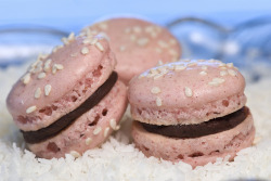 -foodporn:  Pink macaron garnished with white sesame seeds and filled with dark chocolate ganache. (by madlyinlovewithlife)