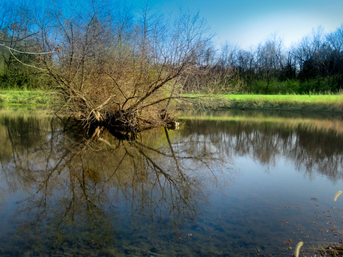 lraquel:This goose has the right idea, sleep tight and enjoy the weekend.Stopped by a lovely pond on