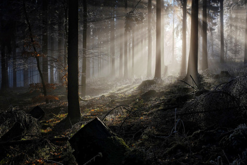 Middleearth, Hessen by Martin Bartosch on Flickr.