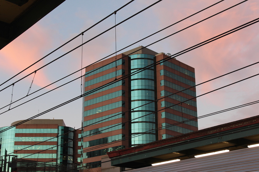 lylekaiju:  I went on an adventure the other day, these colours were so so nice.