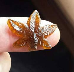 kittihastogo:Pot Leaf made from some dabs 