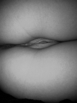 myvelvetpussy:  B&amp;W velvet lips  I&rsquo;d love to eat her pussy