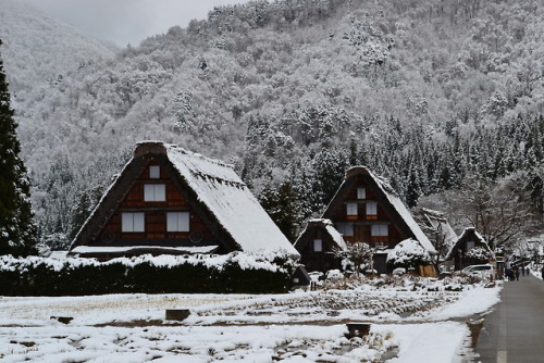 白川郷（岐阜県）Shirakawago (Gifu Prefecture)Deemed a UNESCO World Heritage Site in 1995, Shirakawago is a v